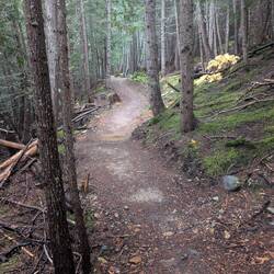I miss PNW trails