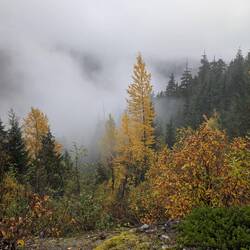 It was a mystical magical morning