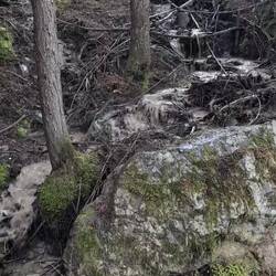 Water always goes down