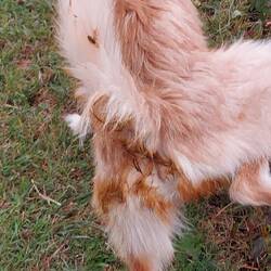 Die Angst war sicher groß!