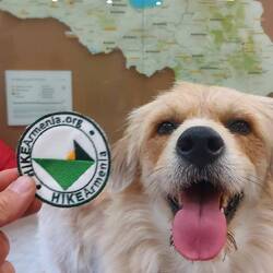 Keine Natur, aber nen Wanderabzeichen😅