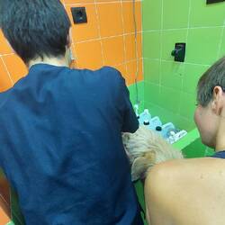 Der Dr. bekommt von seinem Chef das Waschen angeordnet