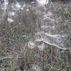 Es herbstet schon sehr!