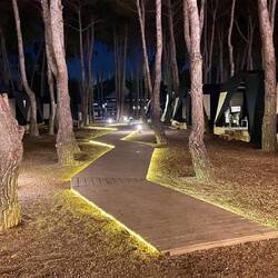 Der Pfad ins Glück 🍀🌴🏕️🧝🏽‍♀️🧌