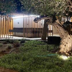 Wer sich hier die Hände schmutzig 🧼 macht ist selbst schuld