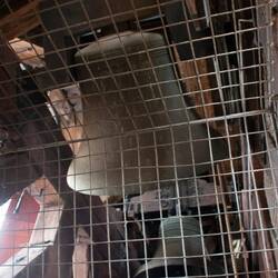 Bells which started ringing when we were beside them.