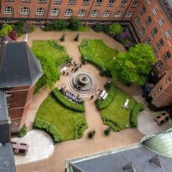From Tower, looking down on weddings in the sqaure at City Hall.