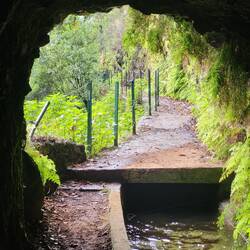 Noch ein Tunnelausgang
