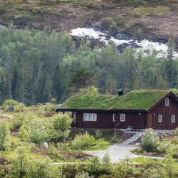 Earth roof with grass to help with insulation. They use goats to mow it.