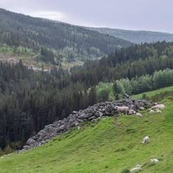 Countryside driving north