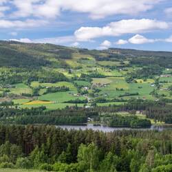 Scenery on drive back to Oslo.