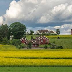 Scenery on drive back to Oslo.