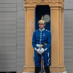 Royal Guards at the Royal Palace.