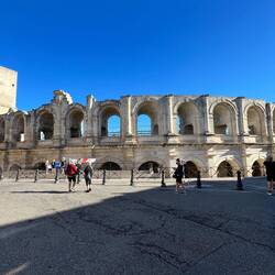 The Arena