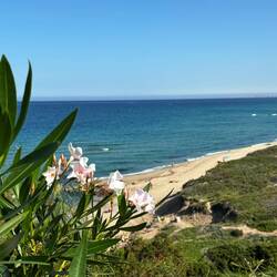 Blick aus dem Auto ....einfach nur Einfrieren diesen Moment