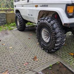 Die scheinen als Ersatz geeignet.