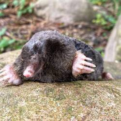 Der arme Kerl hats leider nicht geschafft 🥲.