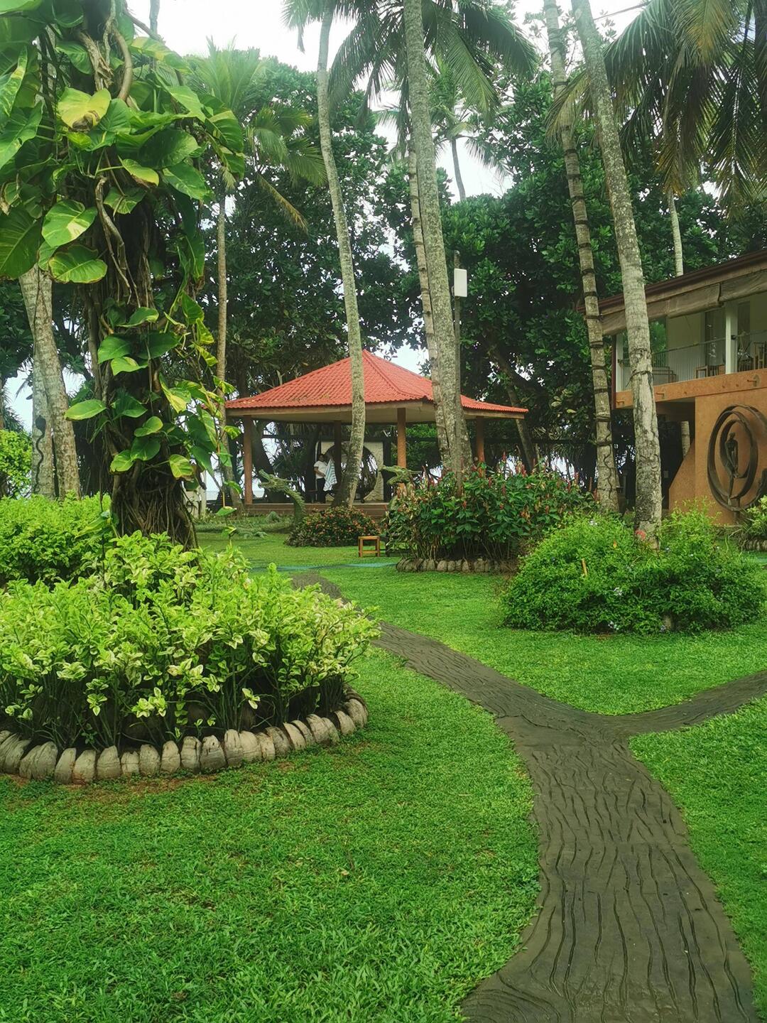 Unser Garten mit Pavillon