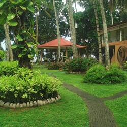Unser Garten mit Pavillon