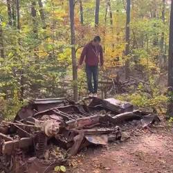 So many abandoned/crashed cars randomly in forests, to Mumpi's joy 😀
