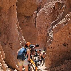 Met some new friends on the way