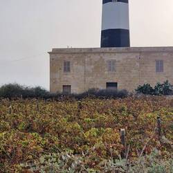 Lüüchttürmlii ♡