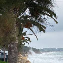 Das ist ein sehr rauhes Meer Heute