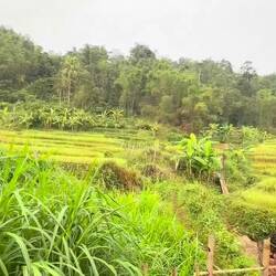 Frühmorgens in Mai Chau