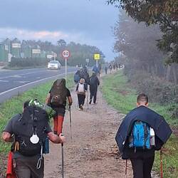 Felt like a bit of a procession again this morning.