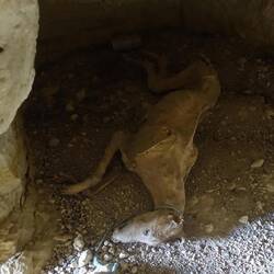 Eine davon wude wohl als Friedhof genutzt