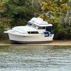 Future loop boat?