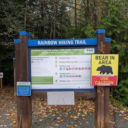 Did not see any Grizzly Bears