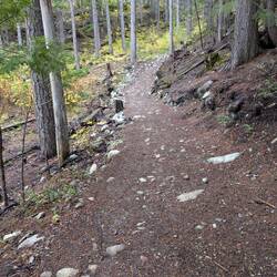 PNW trail without lots of rocks