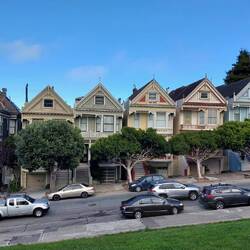 Painted Ladies
