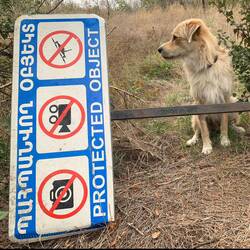 Sensibler Bereich. Was hier wohl versteckt wird? Handydurchsuchung!