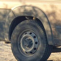 Ein paar Spatzen auf unserem Hinterreifen