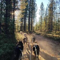 Wunderbar🐾🐶🇫🇮