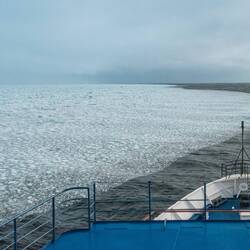 We went as far north as we could without an icebreaker. About 950km from the pole.