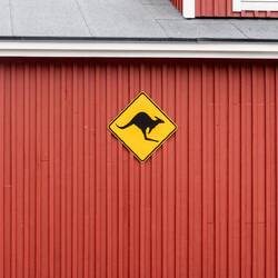 Kangaroo sign that we found at Longyearbyen.