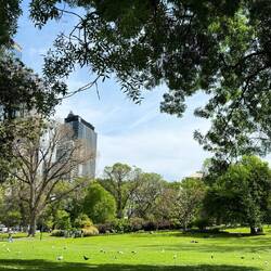 Flagstaff Gardens