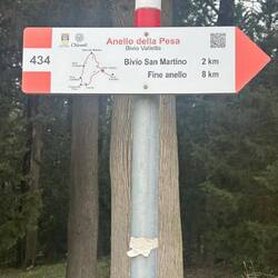 Road signs!!