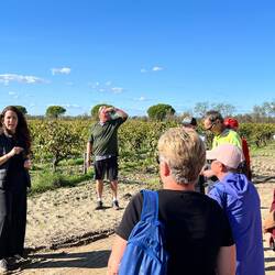 Getting an introduction to the winery