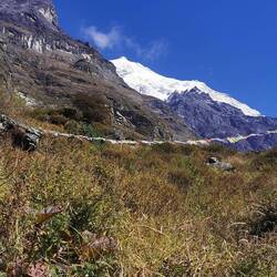 Langtang Lirung