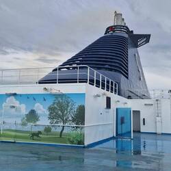 Das Gassi-Deck. Es waren erstaunlich viele Hunde an Bord.