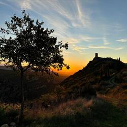 Frühmorgentliche Joggingrunde zum Aussichtsturm auf dem Nachbarshügel