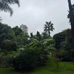 Jardin