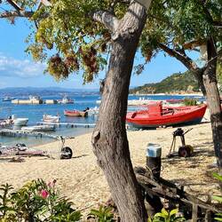 Mittagessen am Strand