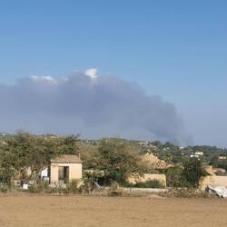 Das ist nicht klein, aber zum Glück weit weg von mir