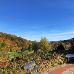 Der Kurpark von Bad Schlema