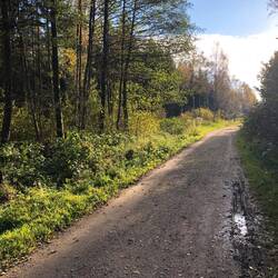 Die letzten 90 Minuten ging der Weg nur noch so
